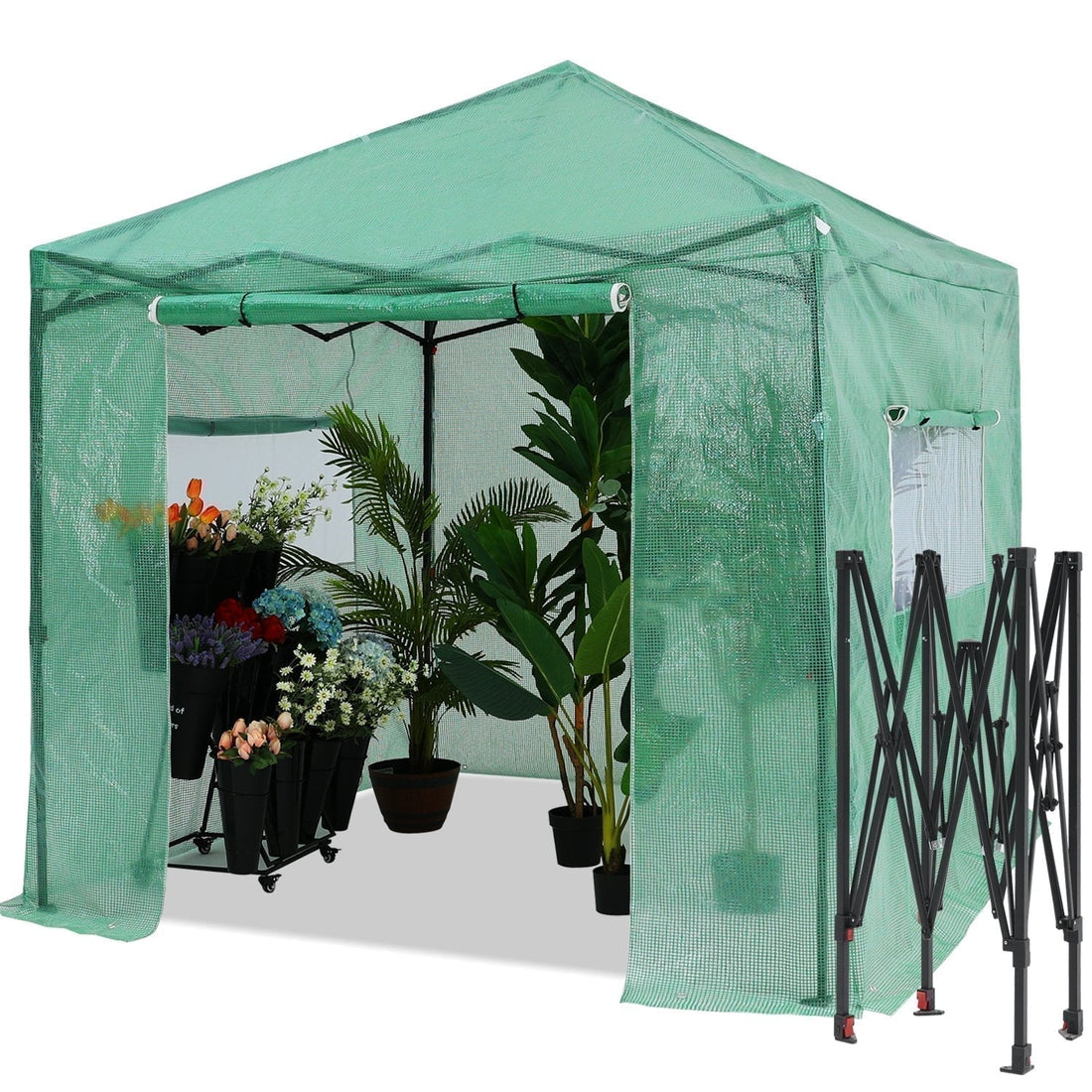 Pop Up Greenhouse Walk-in Garden Greenhouse