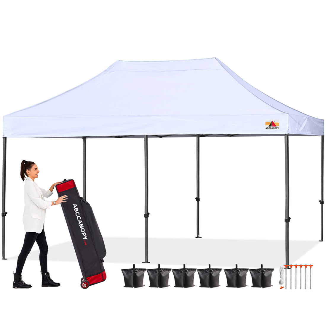 S1 Commercial 10x20 Canopy