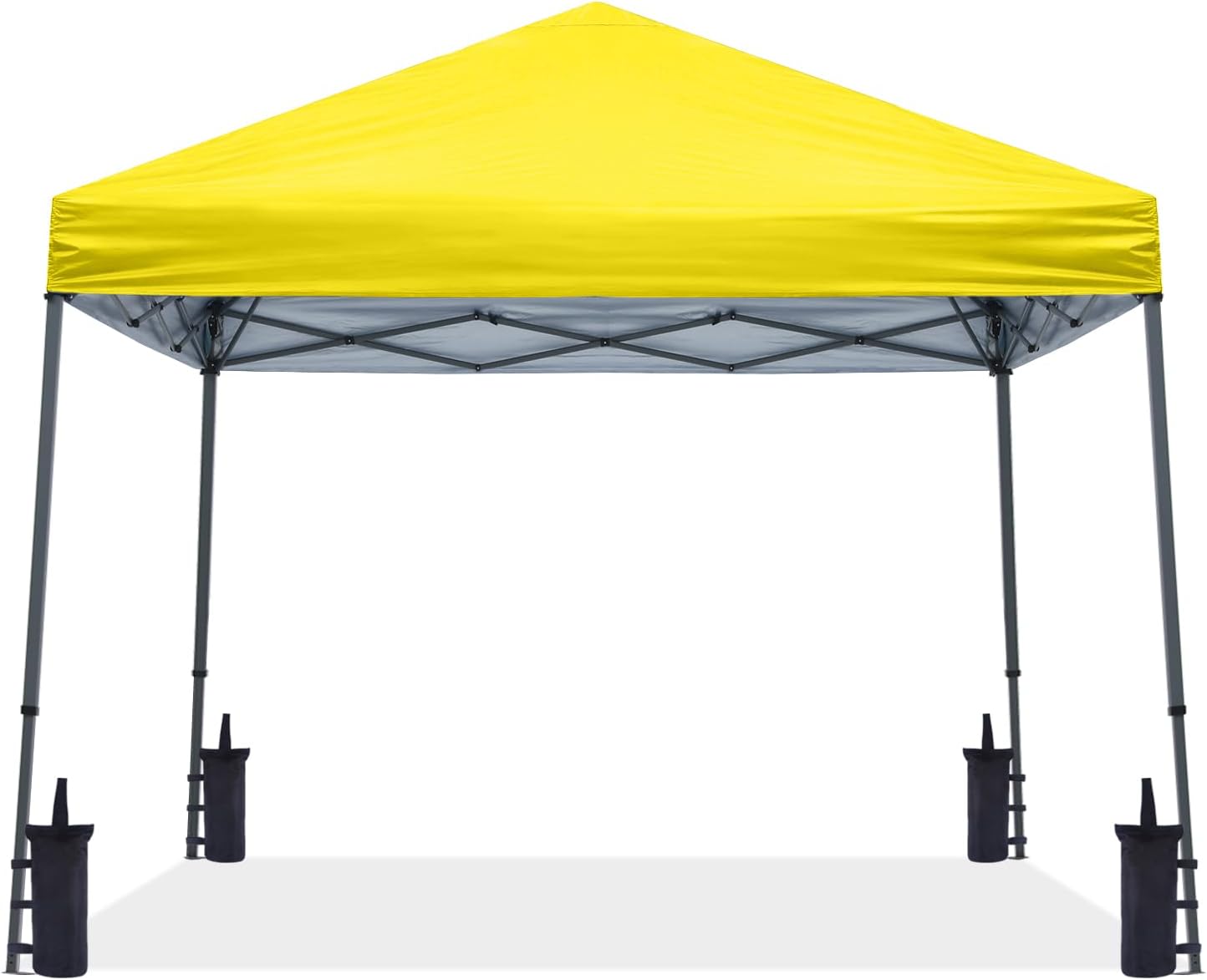 Stable Pop up Outdoor Canopy Tent