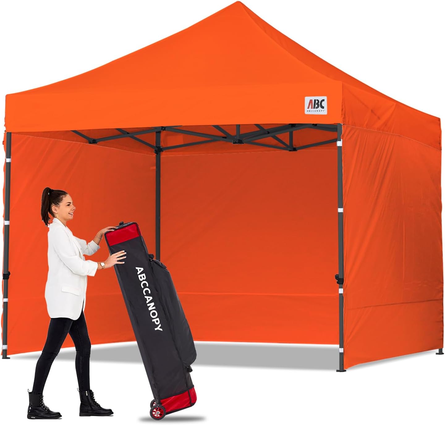 S1 Commercial 10x10 Canopy (Package)